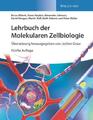 Lehrbuch der Molekularen Zellbiologie Bruce Alberts