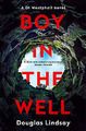 Boy in the Well: A Scottish murder mystery with a twist you won't see coming (DI