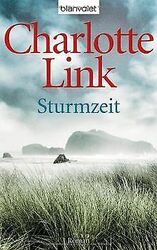 Sturmzeit: Roman von Link, Charlotte | Buch | Zustand gut*** So macht sparen Spaß! Bis zu -70% ggü. Neupreis ***