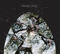 Friendly Fires von Friendly Fires | CD | Zustand sehr gut