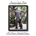 ELEFANT A4 DRUCK BILD POSTER BILD WANDBILD WOHNDEKO UNGERAHMT GESCHENK NEU