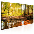 Wald Vlies Leinwandbild 1 tlg Natur Wandbilder XXL Baum Landschaft Design modern