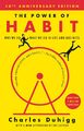 Charles Duhigg | The Power of Habit | Taschenbuch | Englisch (2014)