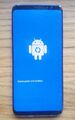 Samsung Galaxy S8 SM-G950F - 64GB - Silber (Ohne Simlock)