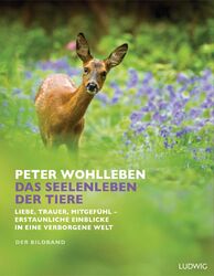 Das Seelenleben der Tiere. Der Bildband | Peter Wohlleben | Buch | 336 S. | 2018