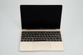 Apple MacBook 8,1 A1534 (Early 2015) 12" RETINA (2304x1440) 8GB 512GB SSD