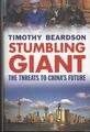 Timothy Beardson SIGNED Stumbling Giant The Threats to China's Future Chinese 