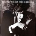 the Waterboys - This Is the Sea