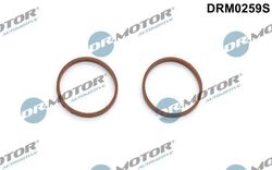 Dr.motor Automotive Dichtungssatz Ansaugkrümmer Drm0259S für Fiat Ford 06->