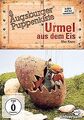 Augsburger Puppenkiste - Urmel aus dem Eis von Harald Sch... | DVD | Zustand gut