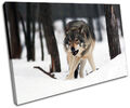 White Wolf Wild Animals SINGLE Leinwand Wand Kunst Bild drucken