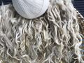 Rohes Mohair von Kaschmirziege Angoraziege Locken Puppenhaar 