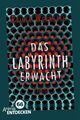 Das Labyrinth erwacht: Limitierte Jubiläumsausgabe: Ausgezeichnet mit der Segebe