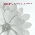 James Be Opened By The Wonderful CD Neu 0044003352100