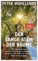 Der lange Atem der Bäume