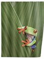 WENKO Duschvorhang Frog Frosch 180x200 Badewannenvorhang Anti-Schimmel-Effekt *