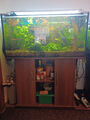 Aquarien komplett, 1 x 200 Liter mit CO2 Anlage, 1 x 110 Liter