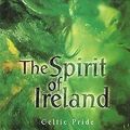 Celtic Pride - The Spirit of Ireland von Various | CD | Zustand sehr gut