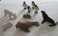 Schleich: 2 Eisbären, 1 Walross, 1 Seelöwe, 4 Pinguine mit Nachwuchs