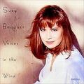 Voices in the Wind von Bogguss,Suzy | CD | Zustand sehr gut