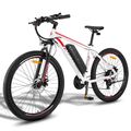 FAFREES F28 MT E-Bike 27.5 Zoll Elektrofahrrad E Moutainbike 250W 14.5AH 25km/h