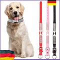 Strasshalsband Hundehalsband Katzenhalsband Halsband  mit Leine Welpe Hundeleine