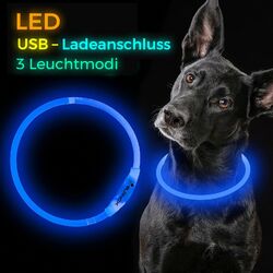 LED Hundehalsband / CLIP wiederaufladbar für alle Größen USB Halsband elanox neuinkl. USB Kabel / sehr hell und leicht / hochwertig  