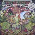 Spyro Gyra - Morning Dance (Vinyl 12" - 1979 - UK - Original)