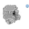 Meyle 114 631 0009 Hydraulikpumpe Lenkung für VW GOLF PASSAT JETTA CORRADO 19E