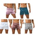 Satin Herren Boxershorts Weihnachten Retroshorts reizeithose Nachtwäsche Briefs 