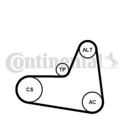 Keilrippenriemensatz Continental CTAM 6PK1045K2 für AUDI SEAT SKODA VW