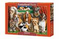 Castorland Puzzle 3000 Teile Hundeverein Dog Club 92 x 68 cm  