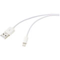 Renkforce USB-Kabel USB 2.0 USB-A Stecker, Apple Lightning Stecker 3.00 m Wei...