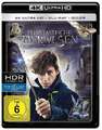 Phantastische Tierwesen und wo sie zu finden sind (Ultra HD Blu-ray) - Warner H