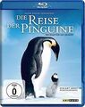 Die Reise der Pinguine [Blu-ray] von Jacquet, Luc | DVD | Zustand sehr gut