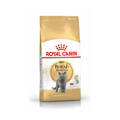 ROYAL CANIN Britisch Kurzhaar 4 kg Trockenfutter für Katzen