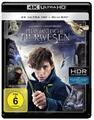 Phantastische Tierwesen und wo sie zu finden sind (Ultra HD Blu-ray) - Warner Ho