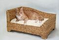 Rohrschneider Ottomane Katzenbett mit Kissen Katzensofa Hundesofa Hundebett