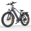 E Bike Elektrofahrrad 26 Zoll 48V 250W E Mountainbike Fatbike Pedelec 25km/h MTB