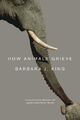 Barbara J. King How Animals Grieve (Taschenbuch)