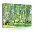 WALD NATUR LANDSCHAFT Wandbilder Wohnzimmer Leinwand Bilder Canvas Wandbild 62