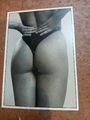 Postkarte PK Erotika Akt Frauen Frau Po im Tanga Echtfoto s/w ungelaufen NEU