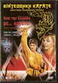 IL RAGAZZO DAL KIMONO D'ORO 6 (KARATE WARRIOR 6 (Ron Williams), solo DVD ital...