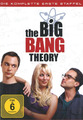 The Big Bang Theory - Die komplette erste Staffel [3 DVDs]