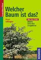 Welcher Baum ist das?