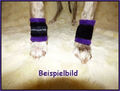 Wolfskrallen Bandagen Gamaschen Krallenschutz Whippet Windhund *Video Beispiel*