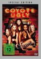 Coyote Ugly Special Edition