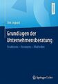 Grundlagen der Unternehmensberatung I Dirk Lippold