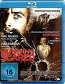 Running Scared (Blu-ray) von Wayne Kramer | DVD | Zustand sehr gut