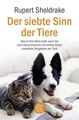 Der siebte Sinn der Tiere: Warum Ihre Katze weiß, wann Sie nach Hause kommen und